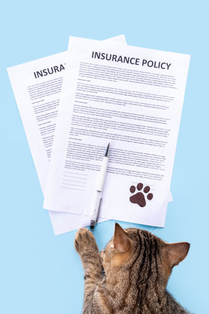 Pet health life Insurance, medical coverage concept. Insurance contract with cat paw signature and cute striped tabby cat. Flat lay mock-up for cats and dogs for insurance agency, medical servicesの写真素材