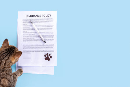 Pet health life Insurance, medical coverage concept. Insurance contract with cat paw signature and cute striped tabby cat. Flat lay mock-up for cats and dogs for insurance agency, medical servicesの写真素材