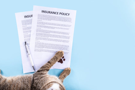 Pet health life Insurance, medical coverage concept. Insurance contract with cat paw signature and cute striped tabby cat. Flat lay mock-up for cats and dogs for insurance agency, medical servicesの写真素材