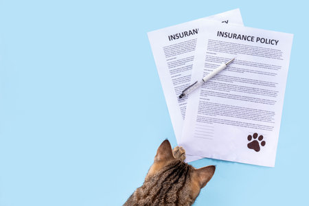 Pet health life Insurance, medical coverage concept. Insurance contract with cat paw signature and cute striped tabby cat. Flat lay mock-up for cats and dogs for insurance agency, medical servicesの写真素材