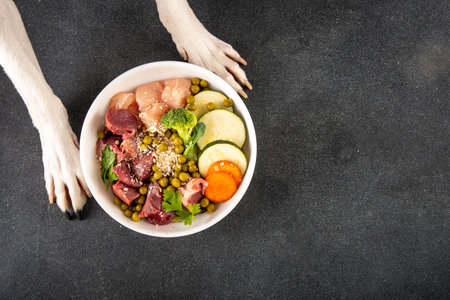 BARF (Biologically Appropriate Raw Food) food concept, Healthy bowl for domestic pets background with dog paws in pic. Portion of raw meat, chicken, fish, vegetables, oatsの写真素材