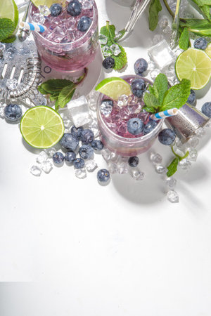 Blueberry citrus summer cooling drink, iced berry mojito lemonade cocktail with blueberries, mint and limeの写真素材