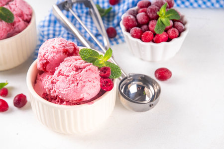 Homemade cranberry ice cream, creamy winter berry gelato with fresh cranberry and mint sprig in ceramic bowlの写真素材