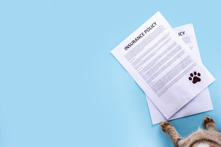 Pet health life Insurance, medical coverage concept. Insurance contract with cat paw signature and cute striped tabby cat. Flat lay mock-up for cats and dogs for insurance agency, medical servicesの写真素材