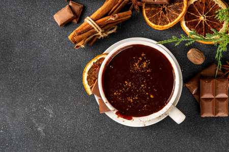 Traditional christmas hot chocolate drink cup with dried orange, cinnamon, anise, spices and Christmas tree sprigs copy spaceの写真素材