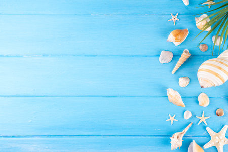 Simple minimal pattern background with seashells and starfish. Summer sale, holiday and travel background, border for sale, invitation, top view copy spaceの写真素材