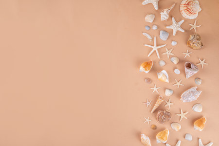 Simple minimal pattern background with seashells and starfish. Summer sale, holiday and travel background, border for sale, invitation, top view copy spaceの写真素材