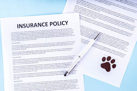 Pet health life Insurance, medical coverage concept. Insurance contract with cat paw signature and cute striped tabby cat. Flat lay mock-up for cats and dogs for insurance agency, medical servicesの写真素材