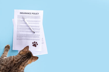 Pet health life Insurance, medical coverage concept. Insurance contract with cat paw signature and cute striped tabby cat. Flat lay mock-up for cats and dogs for insurance agency, medical servicesの写真素材