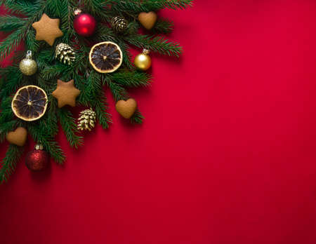 on a red background green spruce branches decorated with Christmas gingerbread, golden cones, oranges and ballsの写真素材