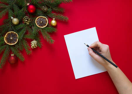 on a red background a green fir branch decorated with Christmas gingerbread, golden cones, oranges and balls next to a white leaf and a hand holds a black pencil writes on a sheetの写真素材
