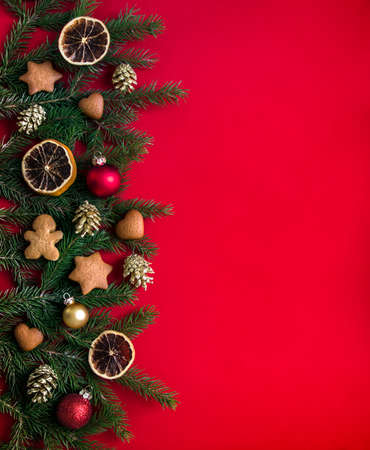 on a red background green spruce branches decorated with Christmas gingerbread, golden cones, oranges and ballsの写真素材