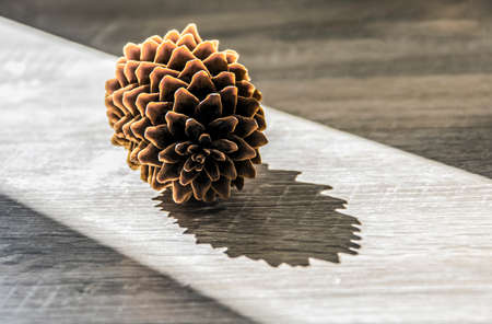 pine cone lies on a wooden table in a ray of sunlightの写真素材
