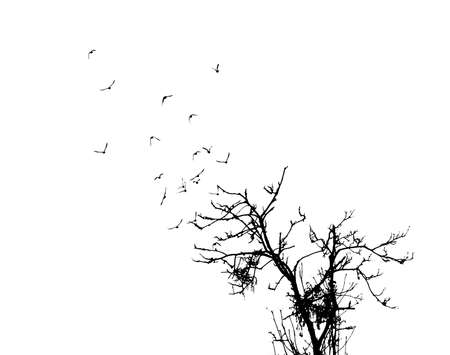 on a white background silhouette of a tree and birds fly like branches of a treeの写真素材