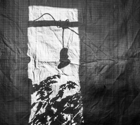 silhouette of tomato sprouts on a plastic bag with a large bag structureの写真素材