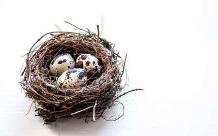 a nest with three quail eggs on a business tableの写真素材