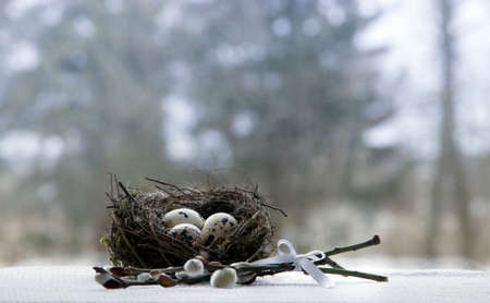 Easter nest with quail eggs branches of willow rolls pastryの写真素材