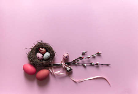 on a pink background, willow branches blossomed eggs quail chicken nest with three eggs color top...