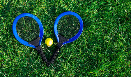 on the green grass lawn lie two blue racquets and a yellow tennis ballの写真素材