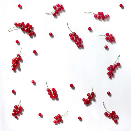 on white background red currant pattern twigs and berries inscription place summer copy spaceの写真素材