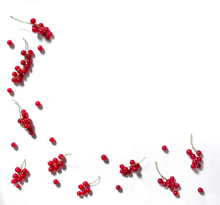 on a white background a frame with the edge and from below lie berries and twigs of a currant red pattern copy spaceの写真素材