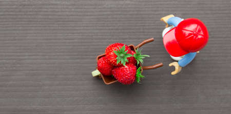 on a gray wooden background there is a toy man from a designer in a red cap and next to a wheelbarrow with berries of red strawberries strawberries place inscriptionの写真素材
