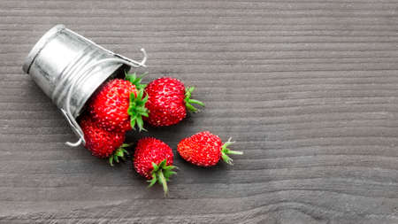 on a gray wooden background is a bucket with red berries strawberries poured a place inscription copy spaceの写真素材