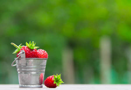 on a green background is a bucket with berries strawberries strawberry red color inscription place copy spaceの写真素材