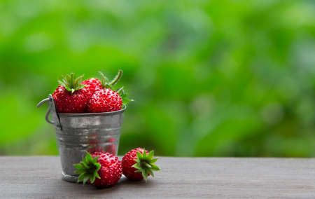 on a green background there is a bucket with berries of strawberry red color inscription placeの写真素材