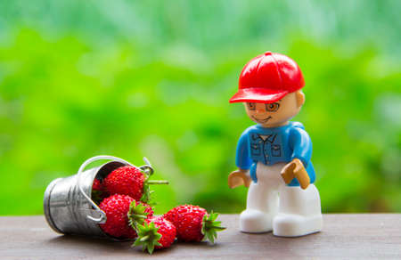 on a green background is a bucket with berries of strawberry red color and a little man from the designer toy in a red cap inscription placeの写真素材