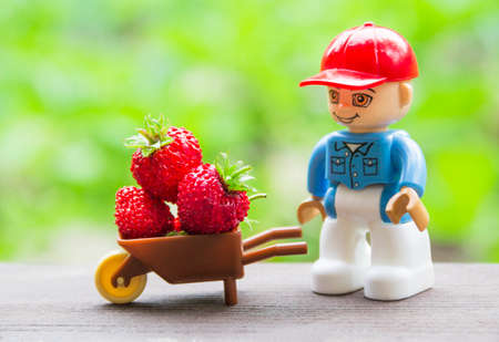 on a green background a wheelbarrow with berries of red strawberries and a man from a designer toy in a red cap place inscriptionの写真素材