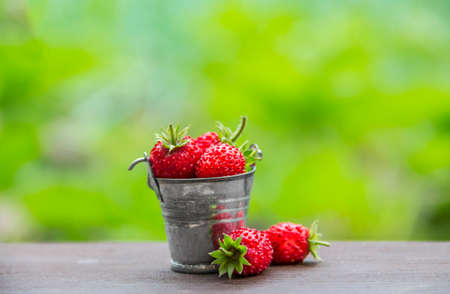 on a green background there is a bucket with berries of strawberry red color inscription placeの写真素材