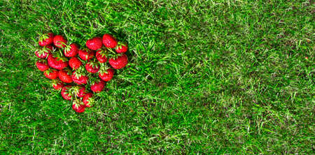 on the green grass in the view of the heart laid strawberry red place for the inscription background flat layの写真素材