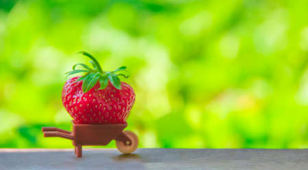 on a green background a small brown toy car with a large huge berries of red strawberries place inscriptionの写真素材