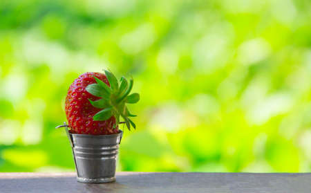 on a green background a small bucket with a big huge berries of red strawberries place inscriptionの写真素材