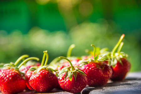 on a green background a lot of strawberry berries with tails and one big red berry place inscriptionの写真素材