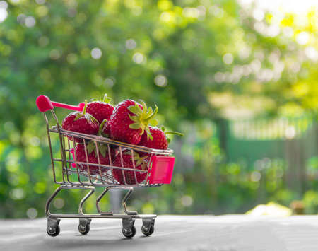 on a green background round bokeh trolley with berries red strawberries place inscriptionの写真素材