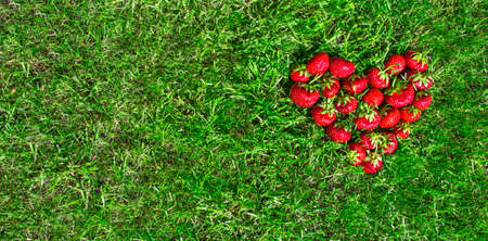 on the green grass in the view of the heart laid strawberry red place for the inscription background flat layの写真素材