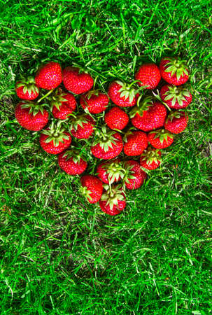 on the green grass in the view of the heart laid strawberry red place for the inscription background flat layの写真素材
