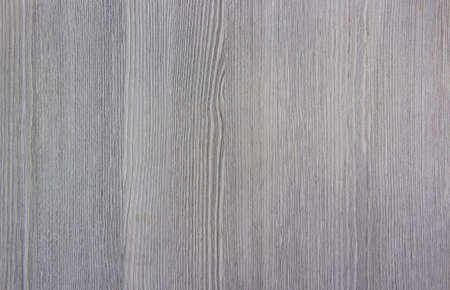 texture background tree array brushed gray line sawの写真素材