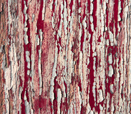 background texture white red wall broken old crackedの写真素材