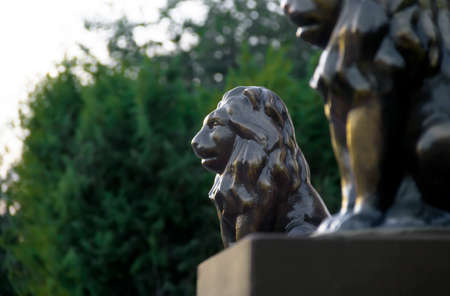 on a background of nature trees bokeh lion profile statuette sculpture couple bronze gold copy spaceの写真素材
