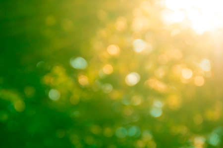 background blurred golden color bokeh autumn light rays sunの写真素材