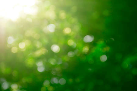 background blurred golden color bokeh autumn light rays sunの写真素材