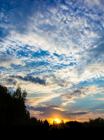 sunset sky setting sun beautiful clouds forest frameの写真素材