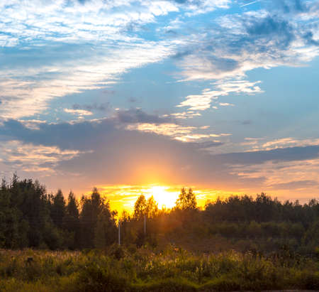 A beautiful cloud during sunset sky in the forestの写真素材