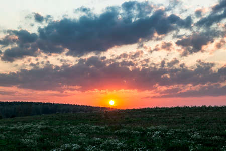 sunset dawn sunrays over the city sky field flowersの写真素材