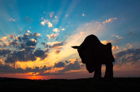 sunset dawn sun rays over the city sky field statue bison sculpture silhouetteの写真素材