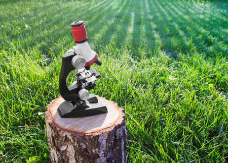 a microscope stands on a green background and on the glass lies a bee wasp insectの写真素材