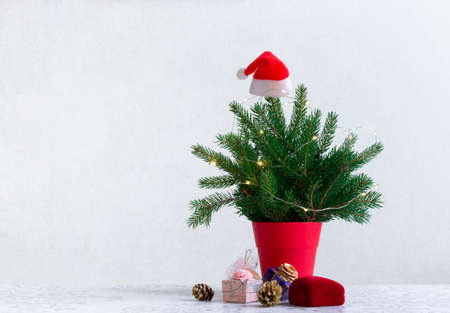on a light background there is a Christmas tree decorated with lights in a red pot under it. Gifts of conesの写真素材